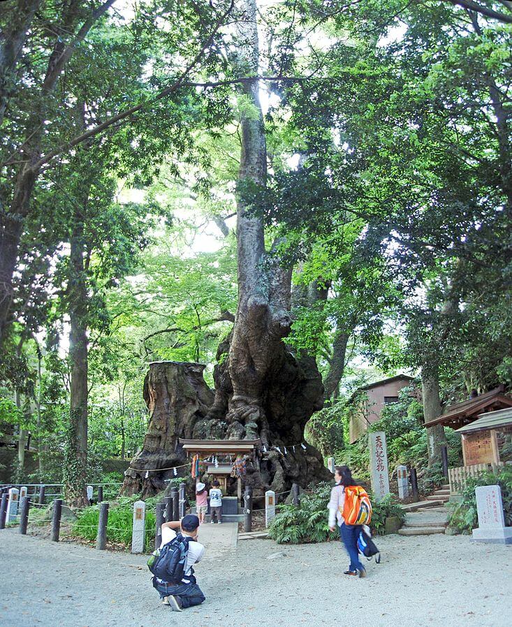來宮神社
