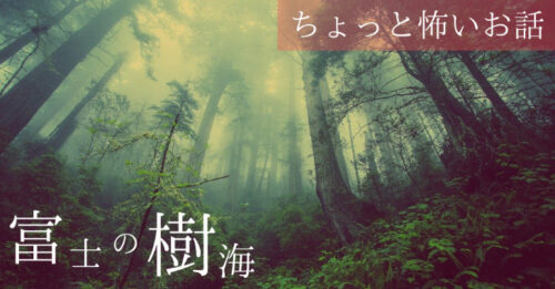 ちょっと怖い心霊現象【富士の樹海】で実際に起こった不思議な話